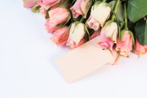 4k-wallpaper-beautiful-close-up-2014696